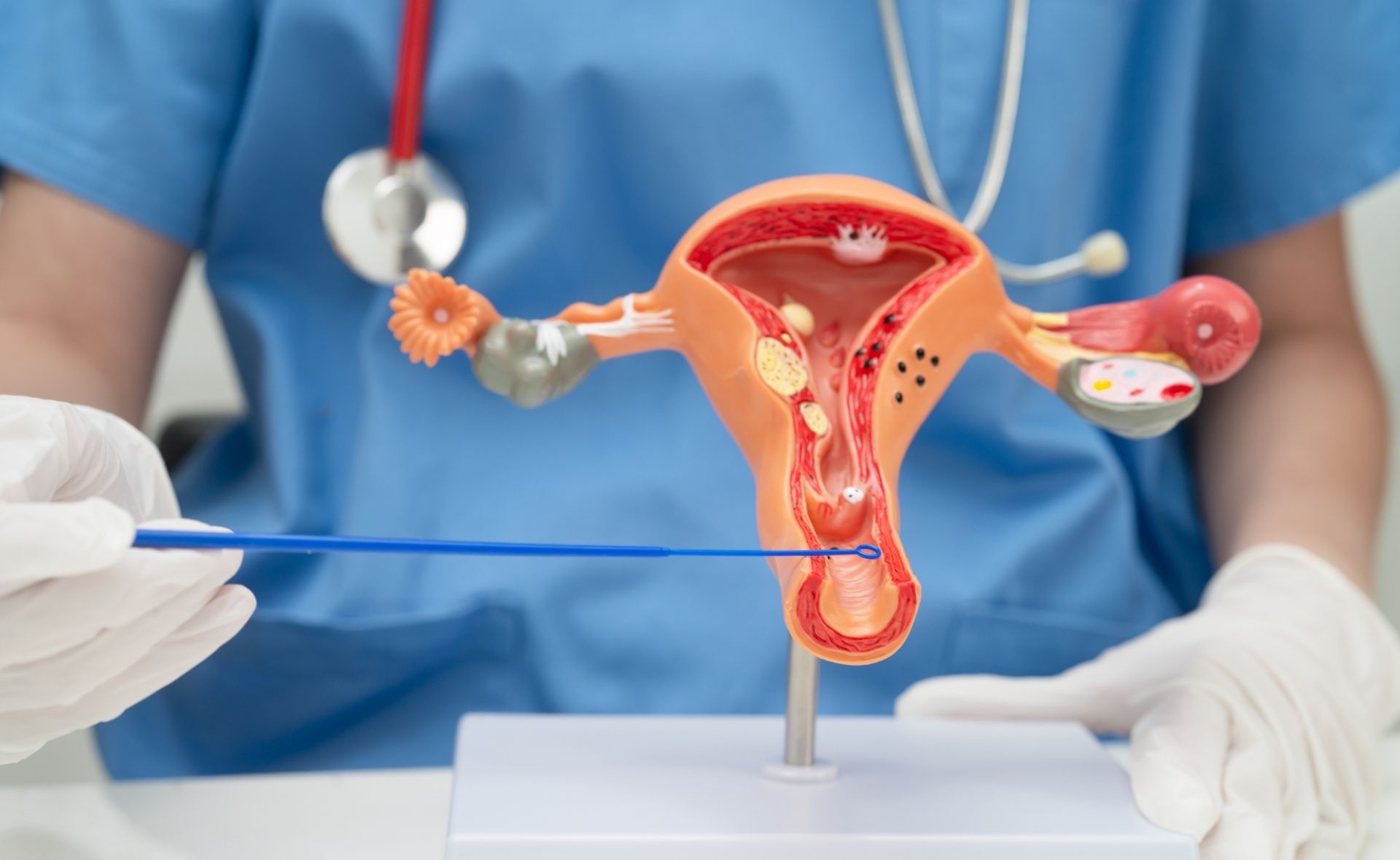 Obstetric & High-Risk Pregnancy Care